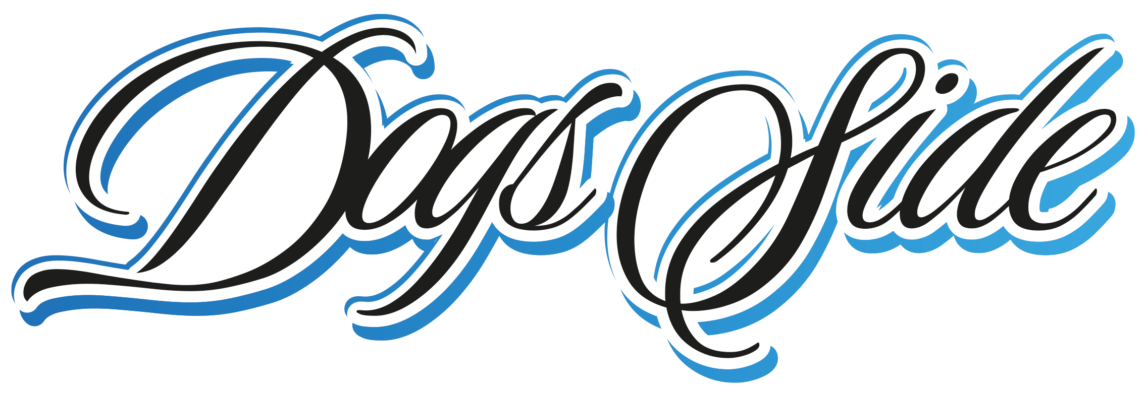 DSide_Logo_Aufbau